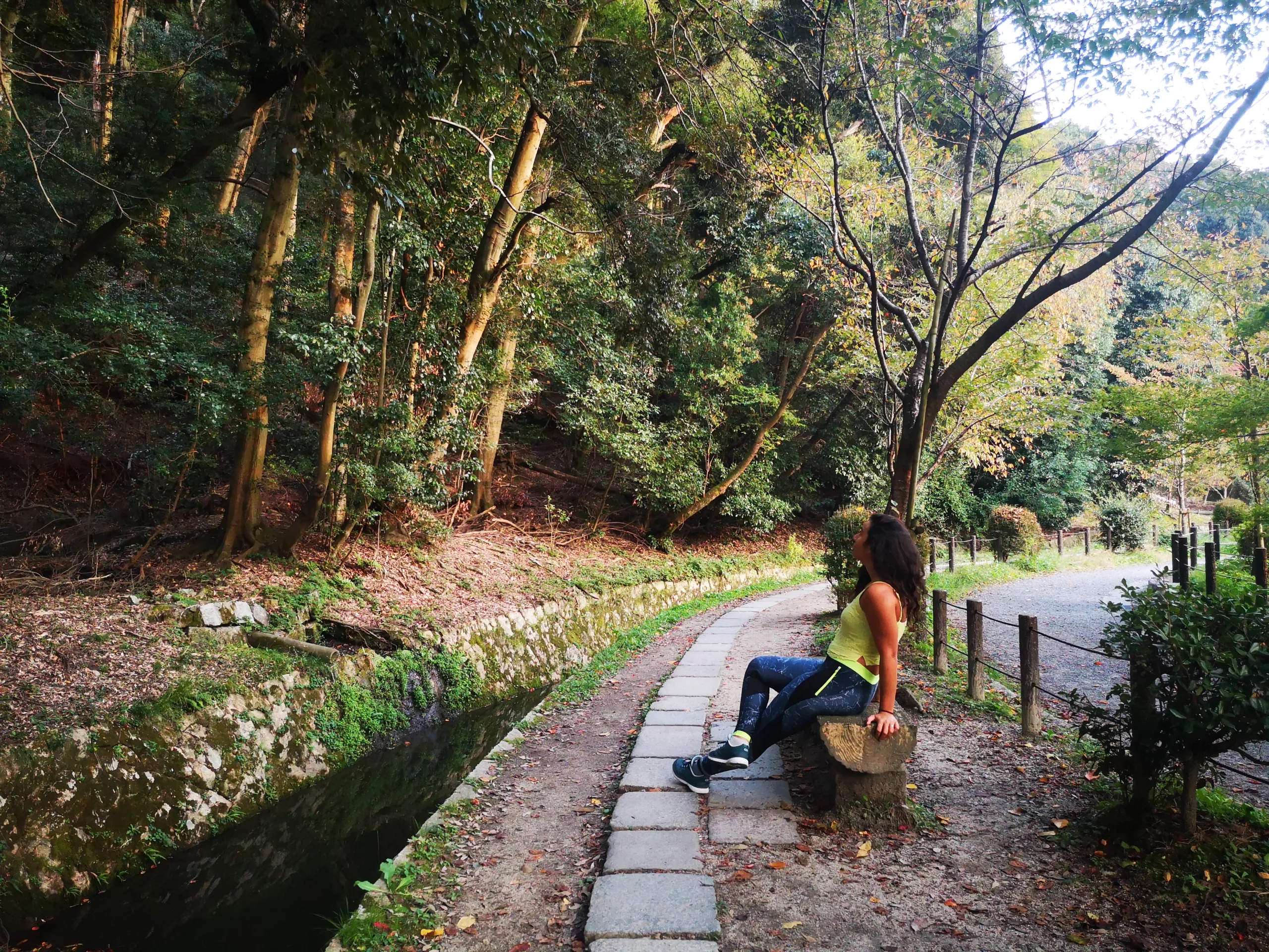 voyage japon voyage japon