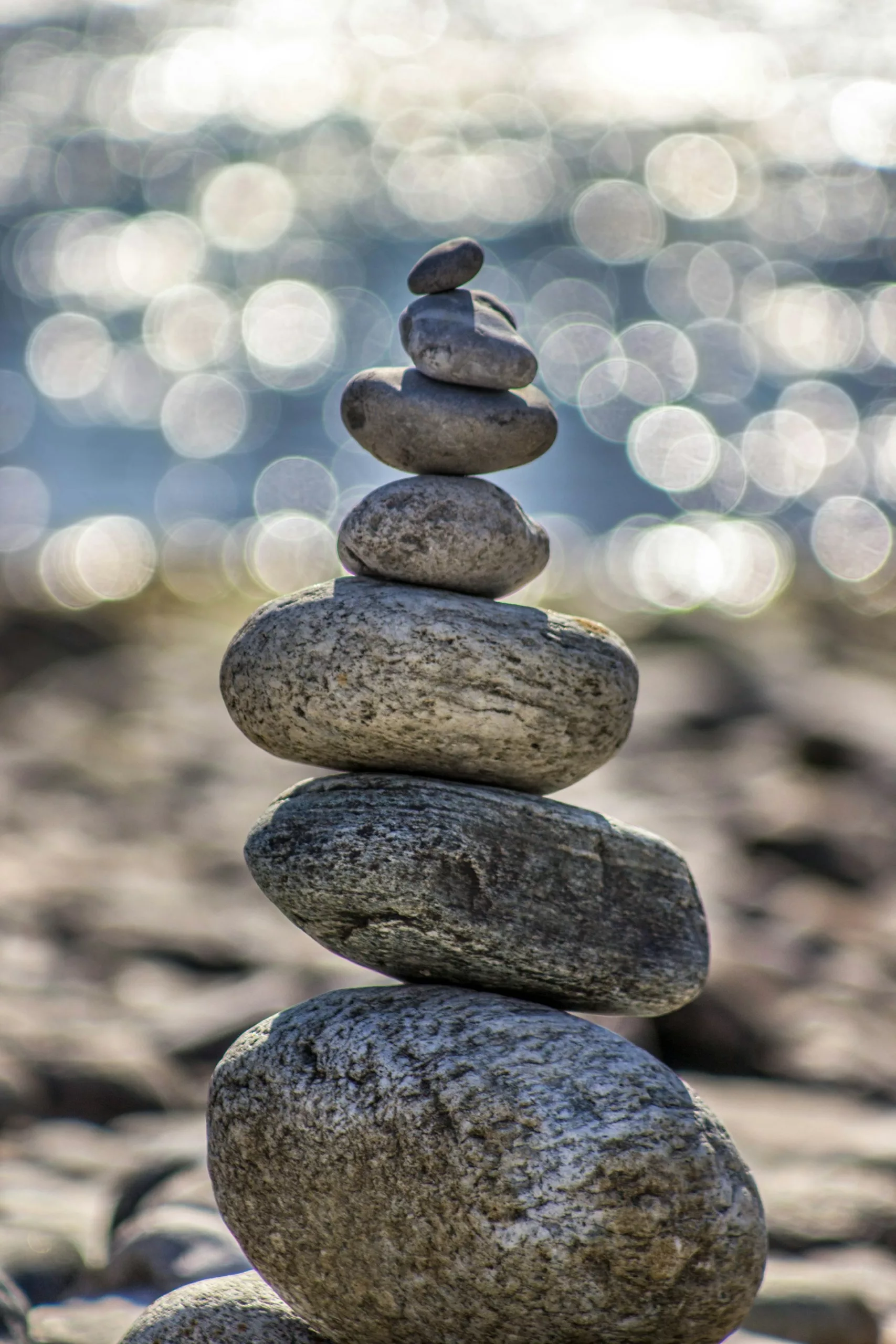 zenitude