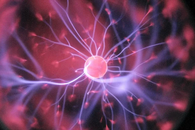 le cerveau pendant la demande de visa